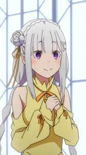Tailor-made DD Costume Services for Nov 2025 Emilia  Dress (Final Payment)