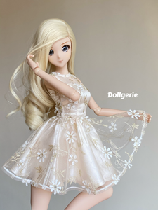 Embroidery Floral Sleeveless Party Dress for SmartDoll & DD3