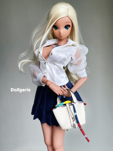 1/3 Tote Bag for any 1/3 BJD